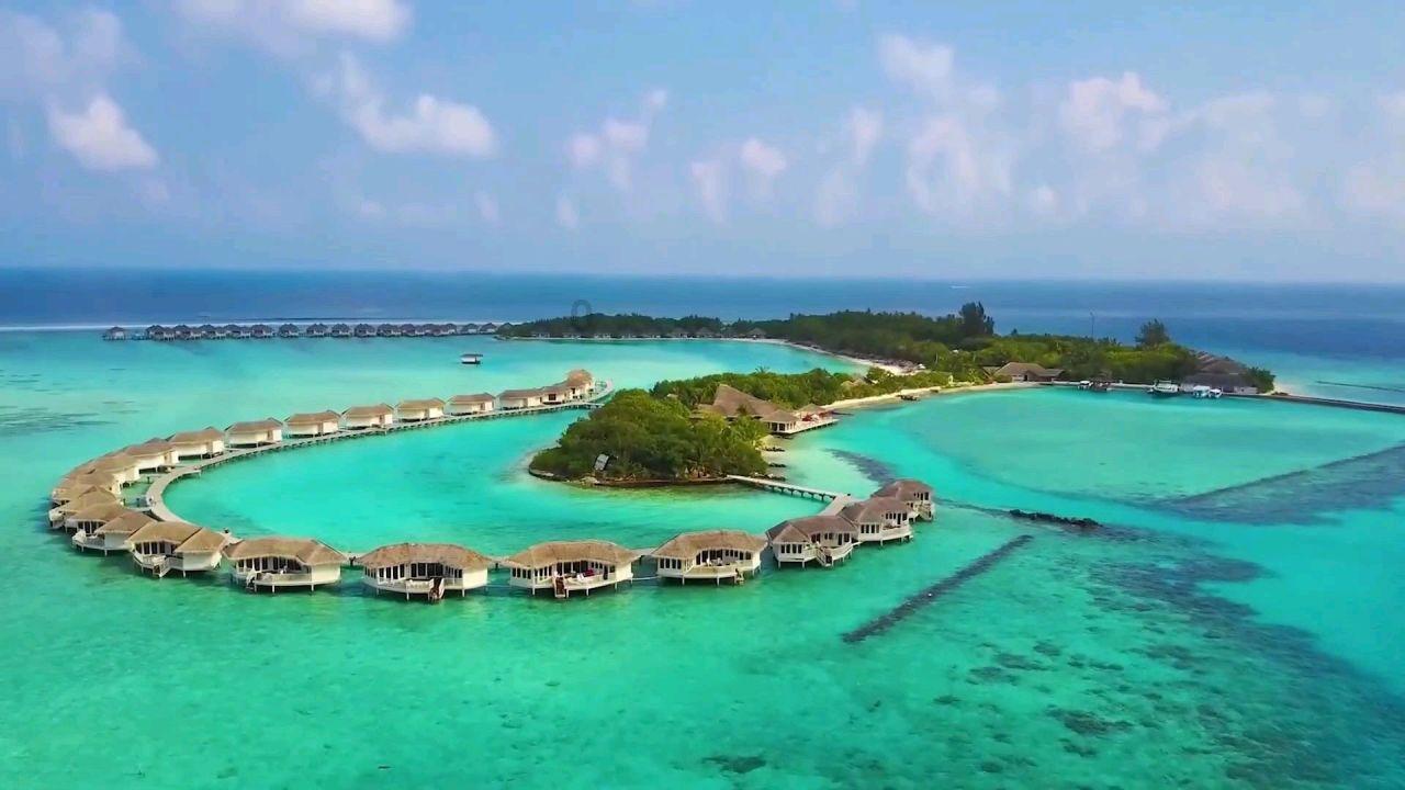双碳晚报|全国温室气体自愿减排交易市场启动 赣锋锂业与现代汽车签署长期供货协议